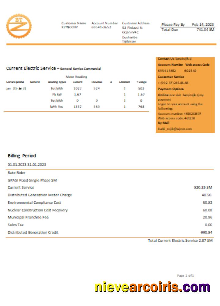 Barqi Tojik Company electricity business bill